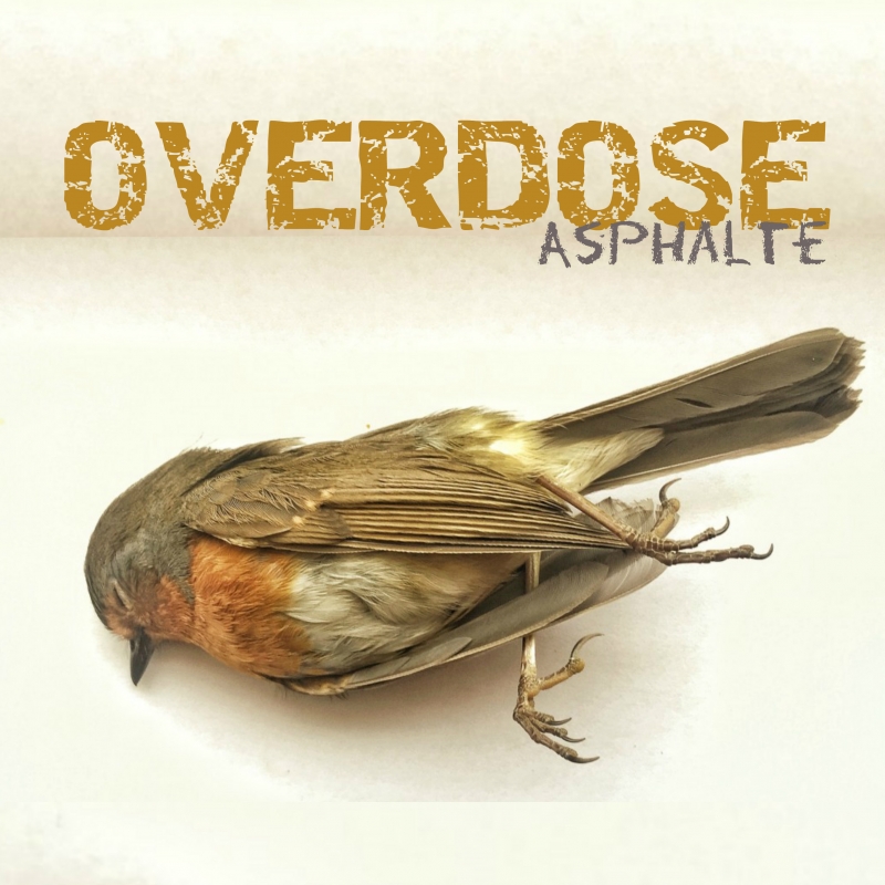 Overdose (oiseau).jpg